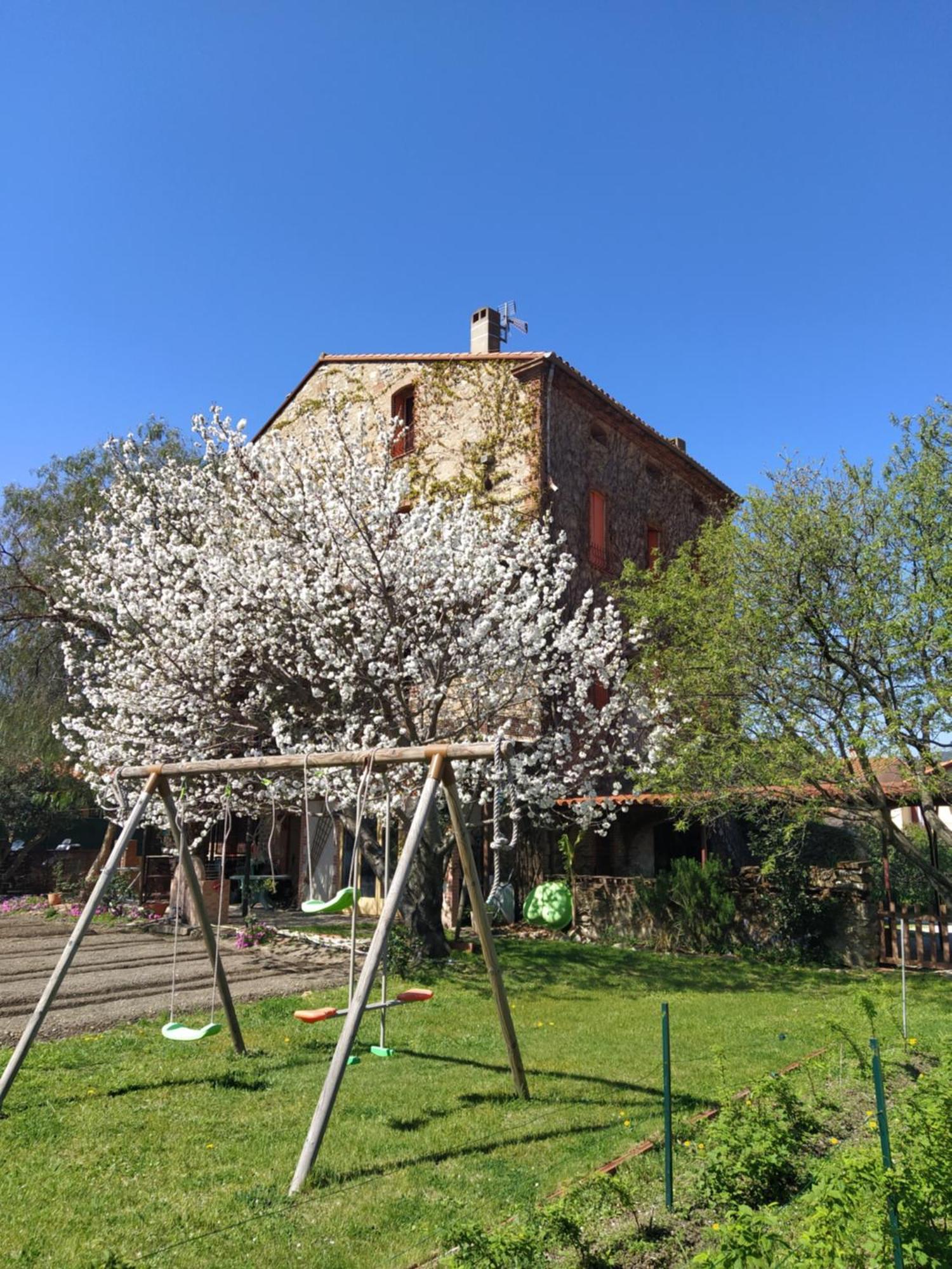 Chambres D'Hotes Las Tanes Vinca Exterior foto